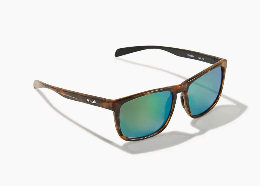 Bajio Calda Polarized Sunglasses in Brown Tortoise Gloss