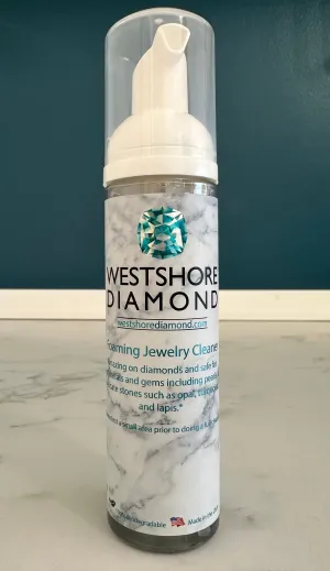 Jewelry Cleaner