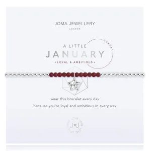 Joma Birthstone Bracelet - January
