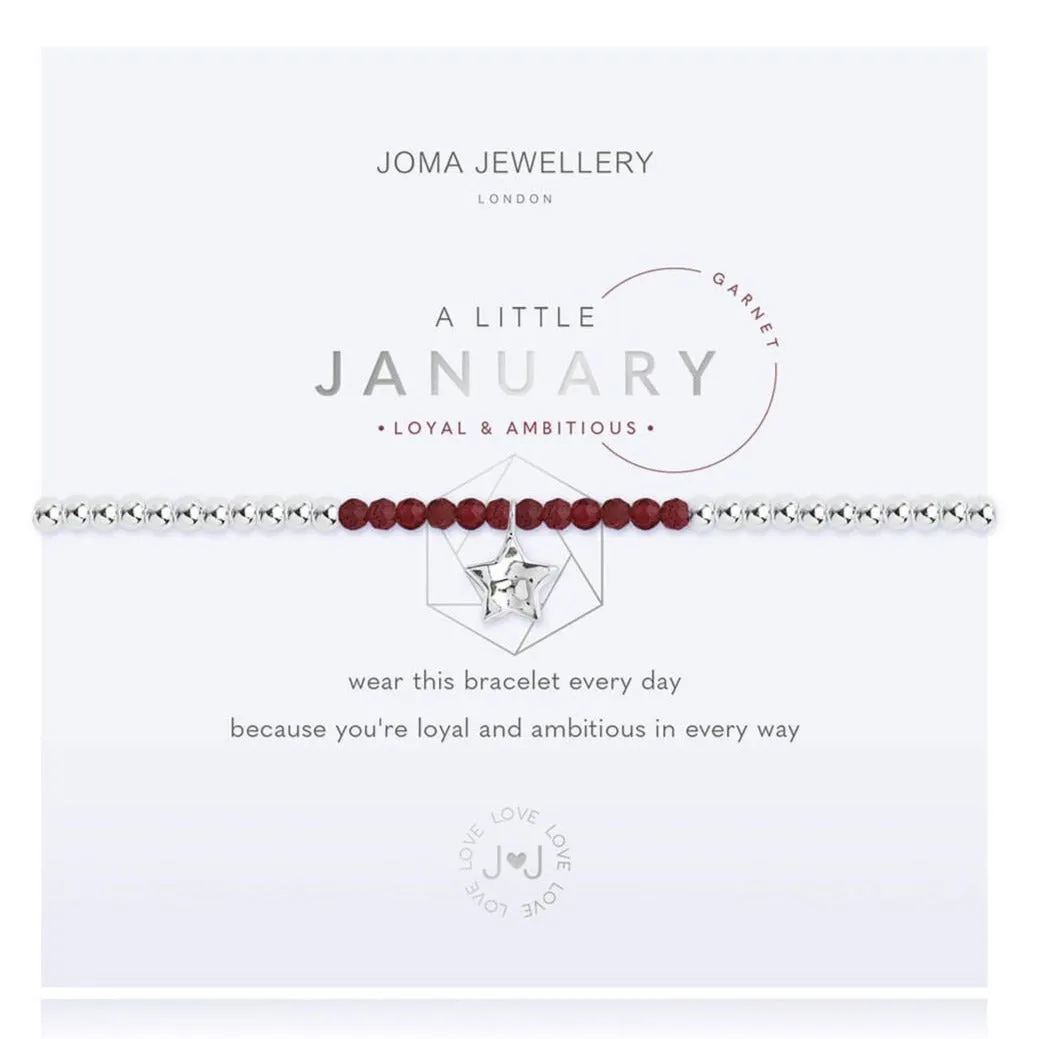 Joma Birthstone Bracelet - January