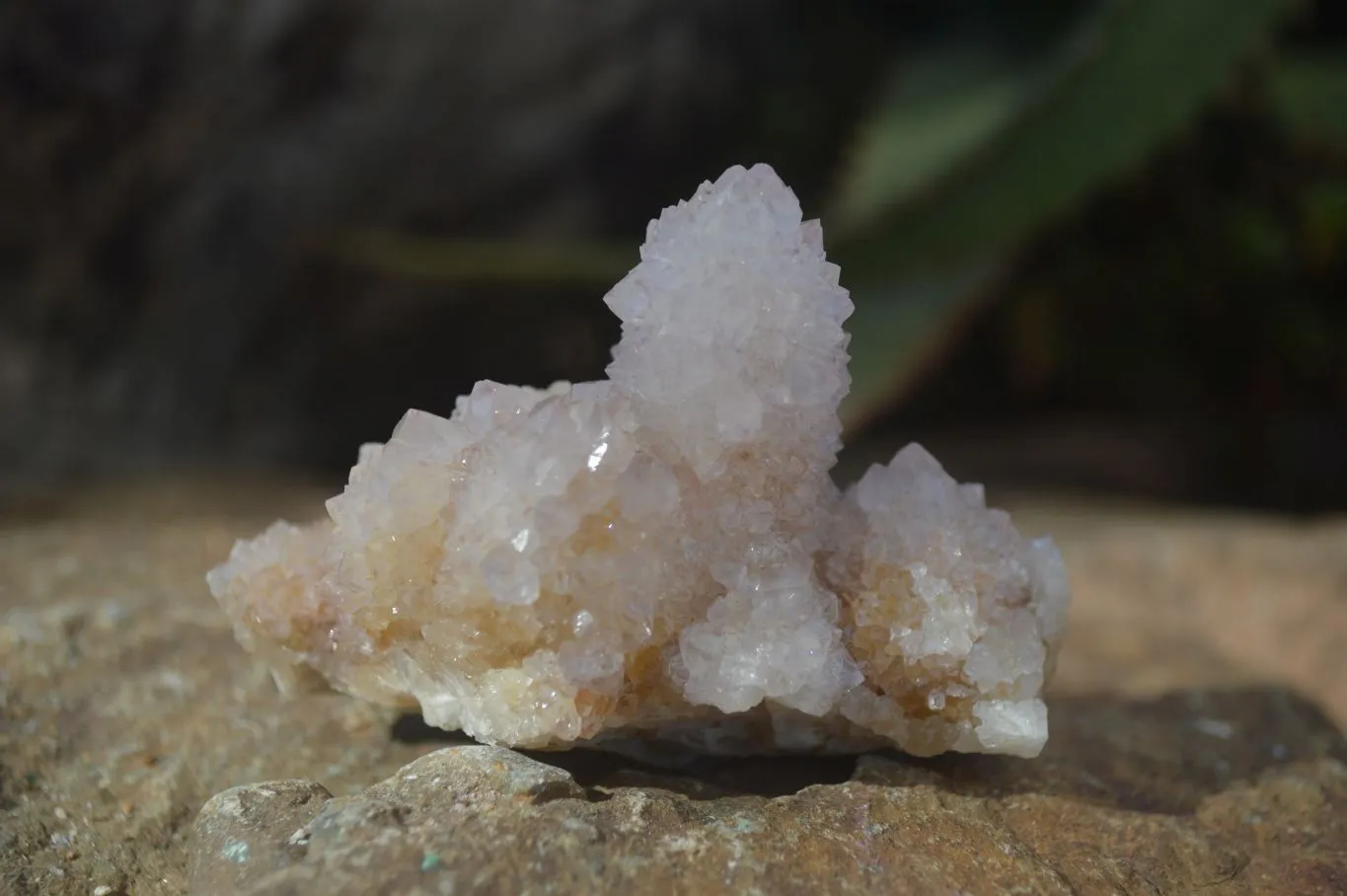 Natural Lilac Spirit Amethyst Quartz Clusters x 6 From Boekenhouthoek, South Africa
