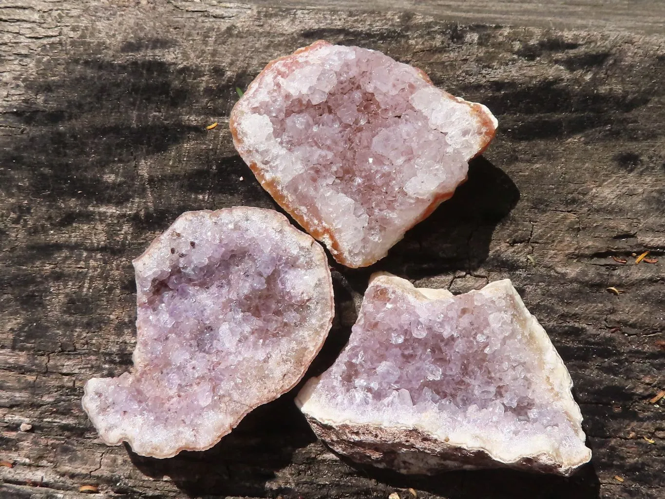 Natural Small Amethyst Geode Specimens x 35 From Zululand, South Africa