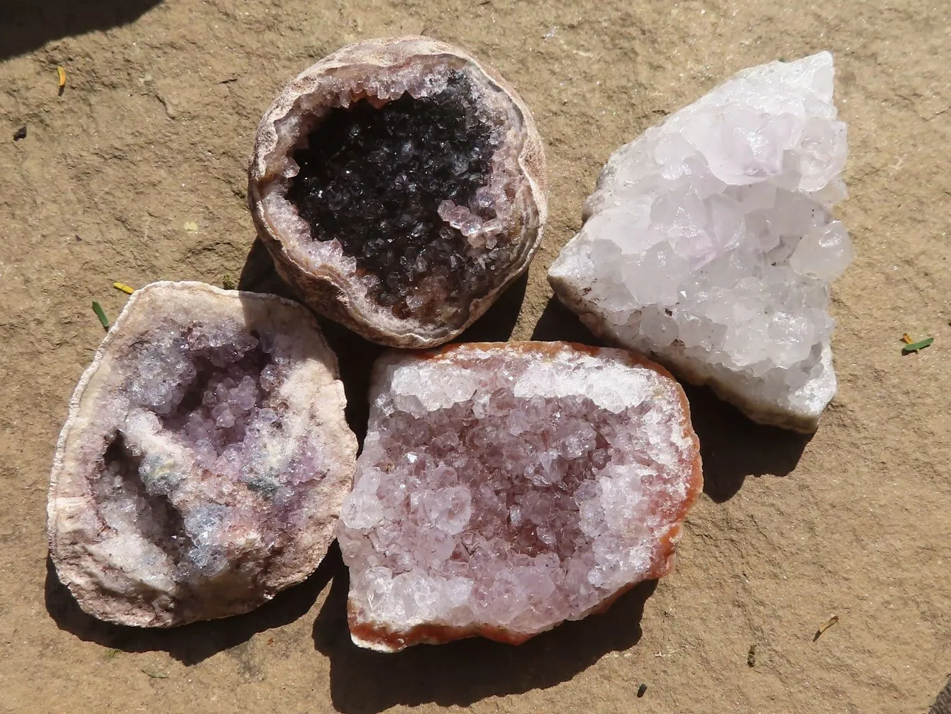 Natural Small Amethyst Geode Specimens x 35 From Zululand, South Africa