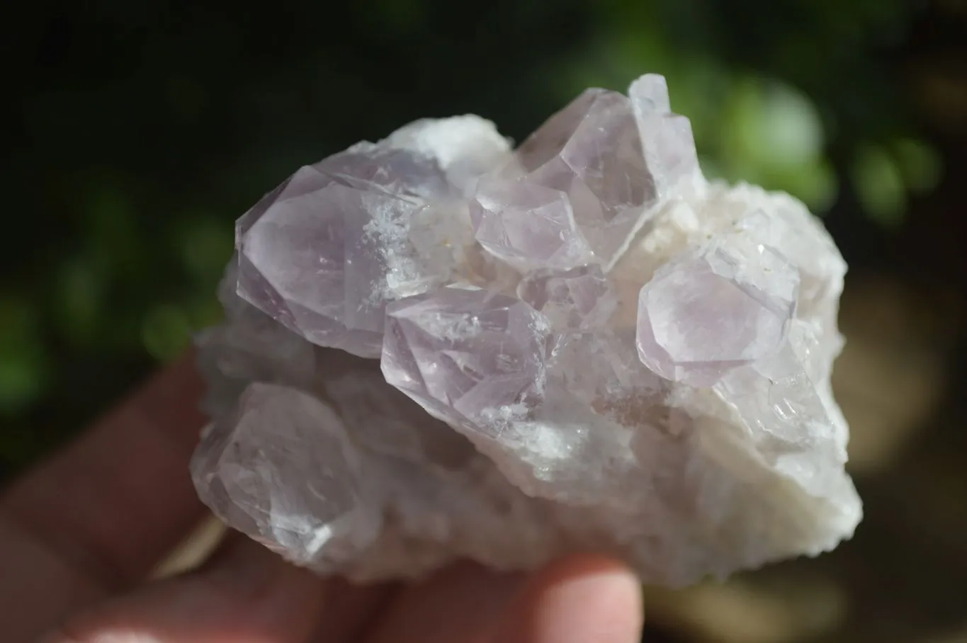 Natural Sugar Amethyst Clusters  x 12 From Zambia