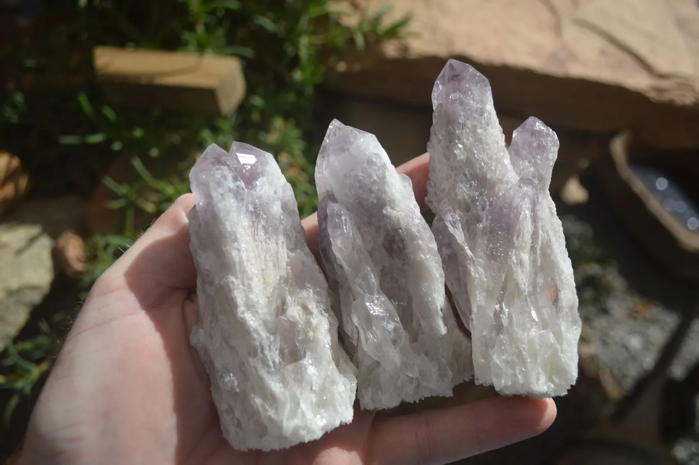 Natural Sugar Amethyst Clusters  x 12 From Zambia